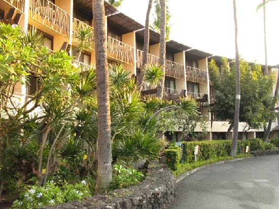 Kona Bay Hotel 3